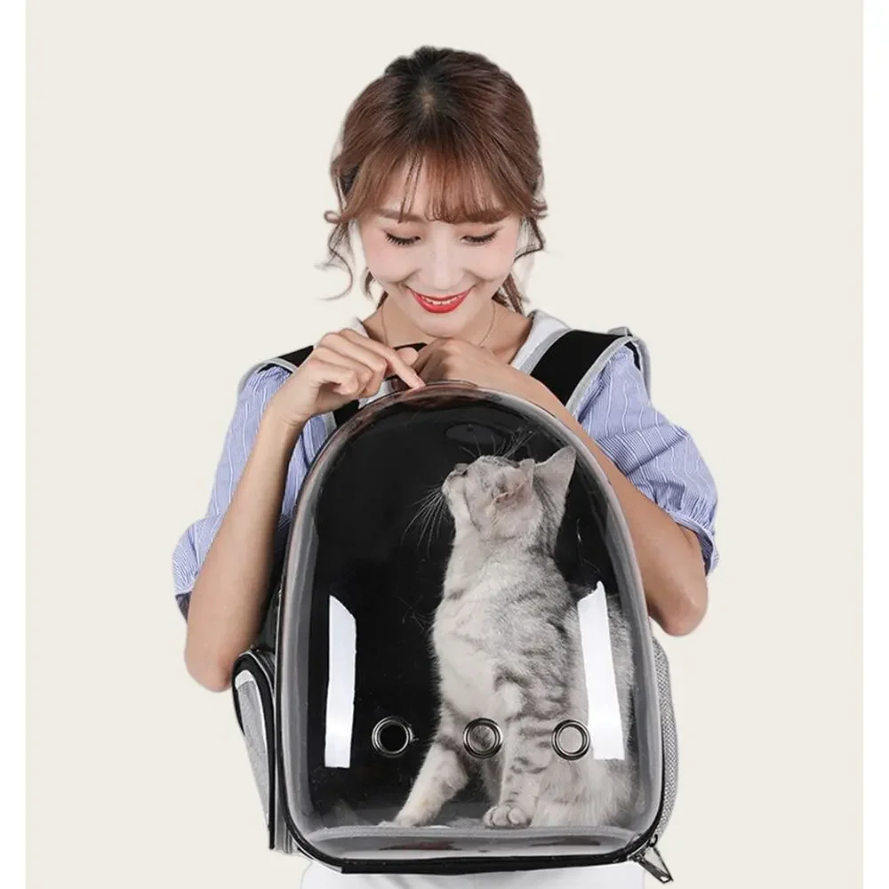 3-in-1 Kitten Kit: Space Capsule Backpack, Pet Hat & Accordion Scratcher